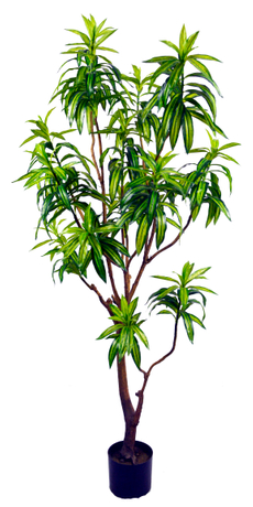 160cm Lily Bamboo - Buy Artificial Plant Product on Tianjin Yihaiyuan ...